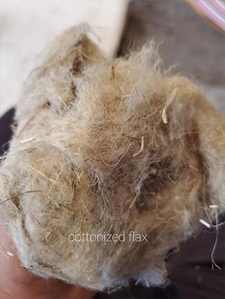 flax-carausale-5