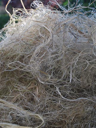 hemp-caraousel-6