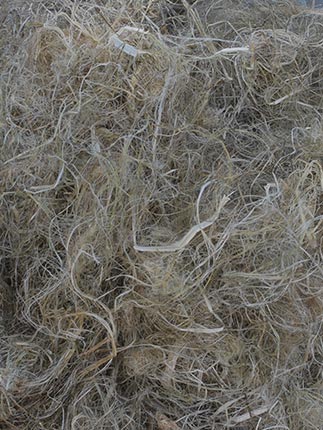 hemp-caraousel-7